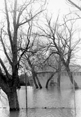 Vårflod anledning till översvämning i Lindesberg, 1977