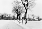 Vinter i Lindbacka, 1977-1978