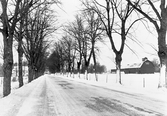Vinterväg mot Källtorp i Gräve, 1977-1978
