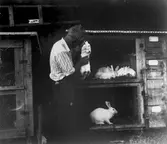 Kaninfarm i Hagen i Kräcklinge, 1942