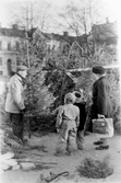 Julgransförsäljning på Stortorget, 1948