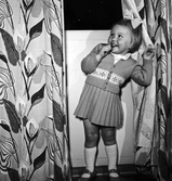 Familjen Karl-Erik Lungren, liten flicka leker med gardiner