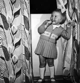 Familjen Karl-Erik Lungren, liten flicka leker med gardiner