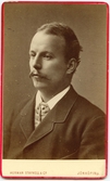 Porträtt på Edvin Forsblad, biträde i A. R. Molinies Vinaffär på Östra Storgatan 11. Död år 1892