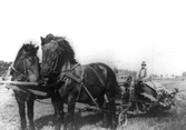 Hästdragen jordbruksmaskin i Yxya i Hovsta, 1950-tal