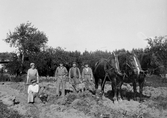 Grupp med hästar på åker i Yxtabacken i Hovsta, 1920-tal