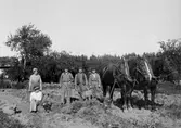Grupp med hästar på åker i Yxtabacken i Hovsta, 1920-tal