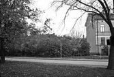 Park vid fastighet på Hertig Karls allé 6, 1967