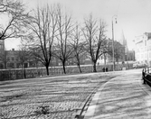 Slottskvarnen från Slottsparken, före 1927