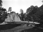 Riseberga klosterruin, 1930-tal