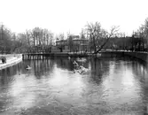 Strömparterren, 1920-tal