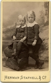 Porträtt på Anna och Karl Franzén. Jönköping år 1887.