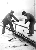 'Chaffis' Eriksson och Valfrid Karlsson drar bult, 1950-tal