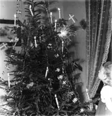 Flicka vid julgran, 1948