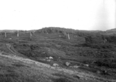 Greby gravfält juli 1917.