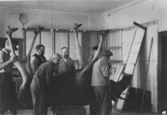 På bilden som är tagen 1911 ser man hur några män håller på att baxa in en uppstoppad älg i Uddevalla museums lokaler på Kungsgatan i Uddevalla.