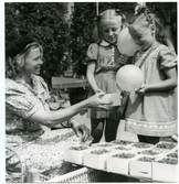 Västerås.
Kvinna säljer hallon på Stora torget, 1947.