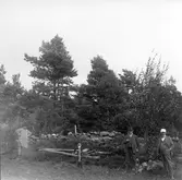 Utgrävning 1926 av gånggriften vid Tolarp, Snöstorp. Tre män står i gravens närhet med en spade fastsatt i marken framför något som kan vara en vinschanordning. Utgrävare var arkeologen Folke Hansen från Lund till vänster och kyrkoherden/arkeologen Viktor Ewald till höger. De grävde även ut Lugnarohögen i Hasslöv samma år. stenkammargraven från yngre stenåldern. Mellan dem står A Lagergren, kassör i Hallands hembygdsförbund. Troligen är fotot taget av någon tidningsfotograf då spaltbredden anges på fotografiets baksida. (Se även F8955, F8956, F8964)