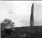 Slumme stenen . Bautasten nära 6 meter hög i utkanten av Broåsens gravfält i Grimeton. Stenen har många namn bl a Kung Götriks sten, Slumme sten, Slommestenen.

Gravfältet omfattar ett 60-tal synliga fornlämningar av olika typer såsom högar, skeppssättningar, treuddar och domarringar varav den största benämns Götriks ring. Här finns även de för västkusten typiska cigarrformade långhögarna, där den största är 40 meter lång.


Tillhör samlingen med fotokopior från Hallands Nyheter som är från 1930-1940-talen.