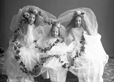 Systrarna Ingrid, Anna-Stina och Anna-Greta Alling utklädda i vita särkar med slöjor, blomsterkransar eller krona i håret och en murgrönsranka som slingrar sig kring dem.