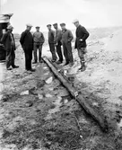 Galtabäcksskeppets köl upptagen vid utgrävningen 1928 i Tvååker. Längst till höger står ingenjör Gillis Olsson, som senare konserverade skeppet, daterat till ca år 1195. Det hade varit ett fraktskepp, en knarr.
(Se VMA6340:7).