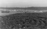 Labyrinten på Skallanäs och fiskeflotta i Skalla hamn, Vässingsö i Onsala.