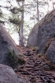 Lilla Trollkyrka i Tivedens Nationalpark, 1980