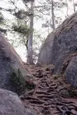Lilla Trollkyrka i Tivedens Nationalpark, 1980