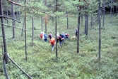 Vandring genom myrmark i Storesjöområdet i Tivedens Nationalpark, 1989