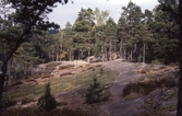 Trollkyrkoberget i Stora Trollkyrka, Tivedens Nationalpark, 1980