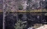 Trollkyrkosjön med spegelbild i Tivedens Nationalpark, 1980