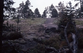 Övre läktaren i Trollkyrka i Tivedens Nationalpark, 1980