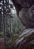 Tvillingberget i Tivedens Nationalpark, 1985