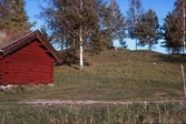 Järnåldersgravar i Högan, 1979