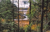 Utsikt över Lillsjön vid Stenbäcken, 1992