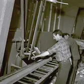 I samband med att byggandet av hyreslägenheter tog fart under 1950-talet började byggmästare Ivar Tegnander tillverka egna köksutrustningar. Verksamheten expanderade och under 1960-talet bildades AB Standardsnickerier, senare Kalmarkök, som tillverkade köksinredningar för såväl flerbostadshus som villor. 
Köptes upp av Marbodal.
Verksamheten bedrevs i kvarteret Giraffen. När den upphört övertogs lokalerna av Kooperativa Förbundet som öppnade Obs! stormarknad.