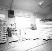 I samband med att byggandet av hyreslägenheter tog fart under 1950-talet började byggmästare Ivar Tegnander tillverka egna köksutrustningar. Verksamheten expanderade och under 1960-talet bildades AB Standardsnickerier, senare Kalmarkök, som tillverkade köksinredningar för såväl flerbostadshus som villor. 
Köptes upp av Marbodal.
Verksamheten bedrevs i kvarteret Giraffen. När den upphört övertogs lokalerna av Kooperativa Förbundet som öppnade Obs! stormarknad.