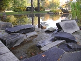 Från gångbro mot dammen i Stadsparken, 2005