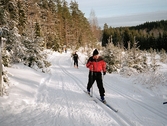 Skidåkare i Kilsbergen, 2004