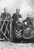 Från August Bondesons vänkrets. Ateljéfoto av syskonen Johansson från Björbexered i Vessige: Jenny, Anna, Adolf och Hugo. Pojkarna står vid ett björkstaket i rutiga kavajer och flickorna sitter i storrutiga klänningar.
