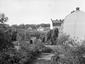 Kanberget 1916