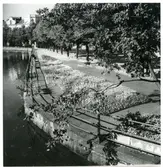 Västerås.
Plantering vid Fiskartorget.