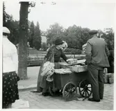 Västerås.
Gumma säljer fisk på Fiskartorget, 1937.