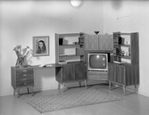 Seriehylla med TV-hörna och skrivbordsdel
