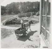 Efter branden i gamla ladugården, Labacka 1:2 