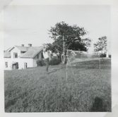 Labacka Lund (idag: Labacka 1:19), 1950-tal. På gräsmattan finns ett badmintonnät uppsatt.