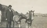 Natanael Bengtsson (1882 - 1968) står på åkern tillsammans med ett sto och föl, Långåker 1:3 