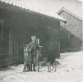 David Bengtsson står med två döda rävar samt en hund utanför Långåker 1:2 1958. På fotots baksida står: Minne till Bengt Johansson. Från nattvak på räv 1958 på Långåker. Från David Bengtsson (1957).