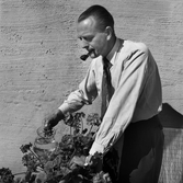 Gunnar Andersson vattnar blommorna på balkongen