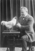 Ur grosshandlare Oscar Nordbloms album. Ateljébild med Mathildas kollega Elof Ernwald sittande med en höna framför sig på ett bord.